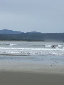 Surfers surfing