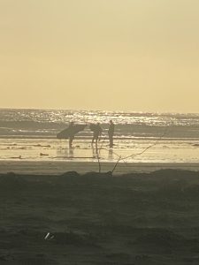 Surfers getting ready for a day of surf.